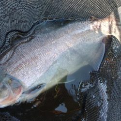 午後からのんびりと浜名湖フィッシングリゾートへ